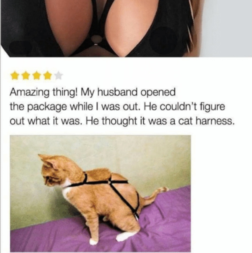 HAHAHAHA! CLEVER BOYS
